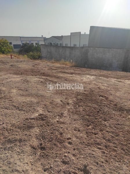 Foto e05aaade-42b0-4d46-847c-adbd4dfc737f. Area edificabile industriale in Navas del Selpillar Lucena