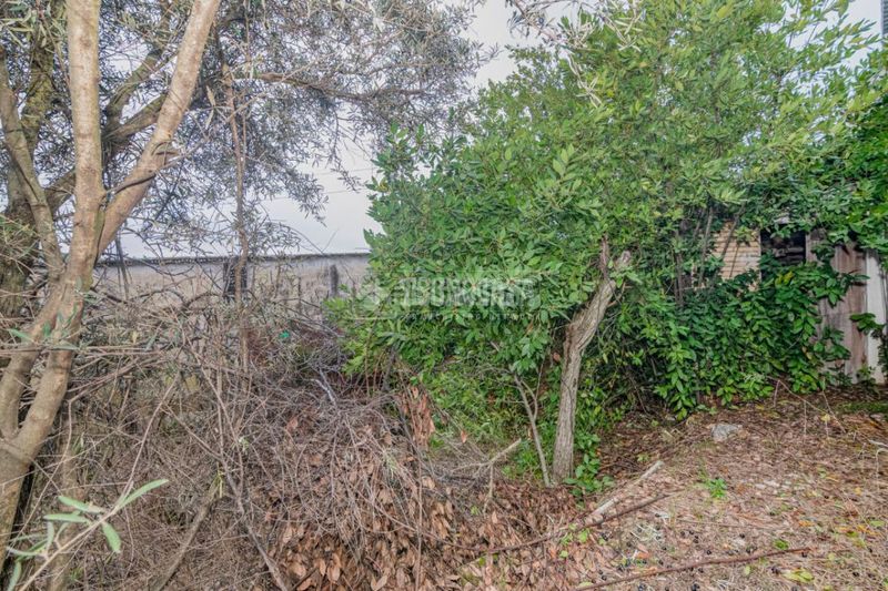 Foto 4ceaf3d5-7028-4616-9ba9-0231aaa6ddc1. Casa amb aparcament a Rute