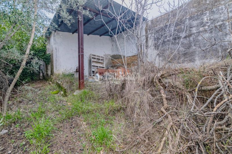 Foto 5fbf04fa-291a-4785-bce5-68276c0869dd. Casa amb aparcament a Rute