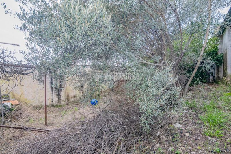 Foto b650f2f8-b7ef-4ef5-bcf0-c0aab875bc79. Casa amb aparcament a Rute