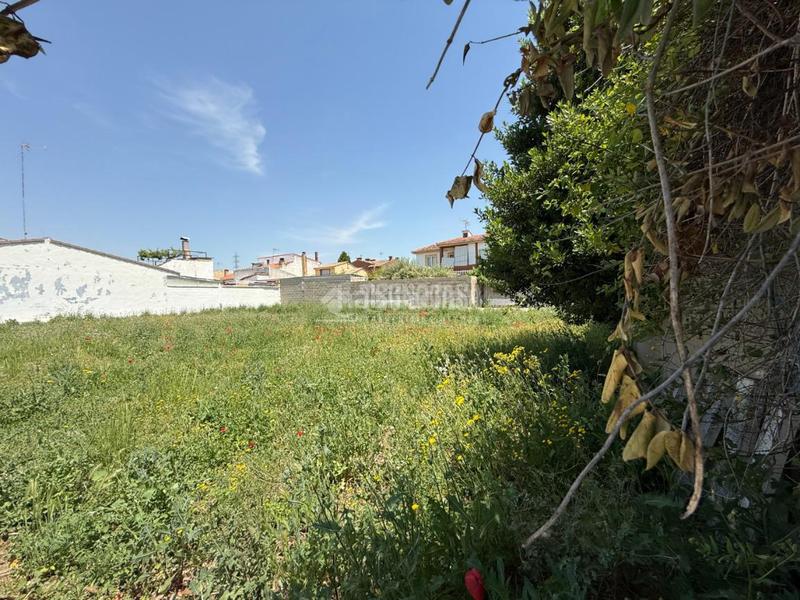 Foto 2aba269f-4052-496d-b91f-a5b702ff4793. Terreno residenziale in Alovera