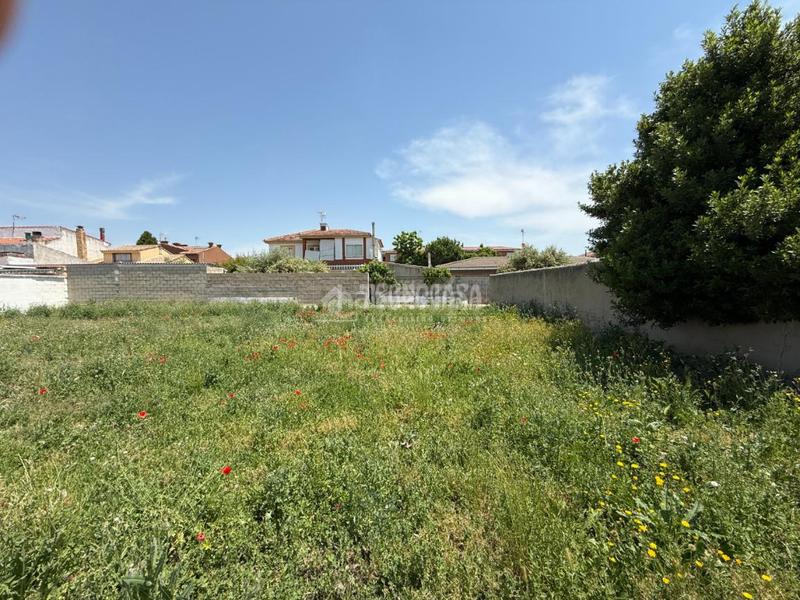Foto aac421e4-b6d0-4cd8-a54a-c8fc146eb345. Terreno residenziale in Alovera