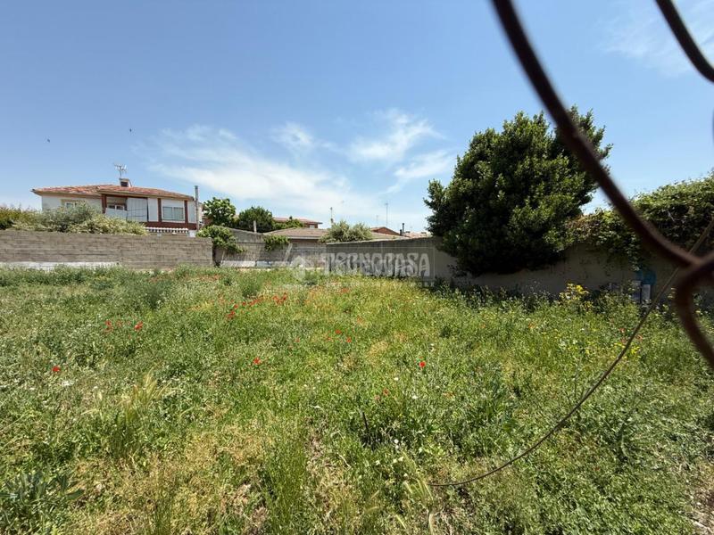 Foto b30b60ec-9794-4223-bc8d-2d03968eb7d8. Terreno residenziale in Alovera