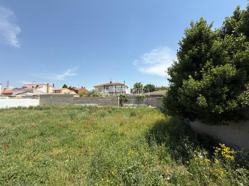 Foto f377bef1-0503-4857-a026-4d7b7349a6e0. Terreno residenziale in Alovera