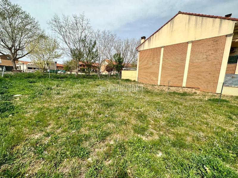 Foto 0227b0b6-3661-40c3-9606-c97e901f426c. Terreno residenziale in Alovera