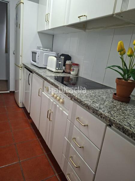 Foto 46ff6ca5-0526-4b65-a8ad-deb5da5cad17. Finca rústica a Montilla