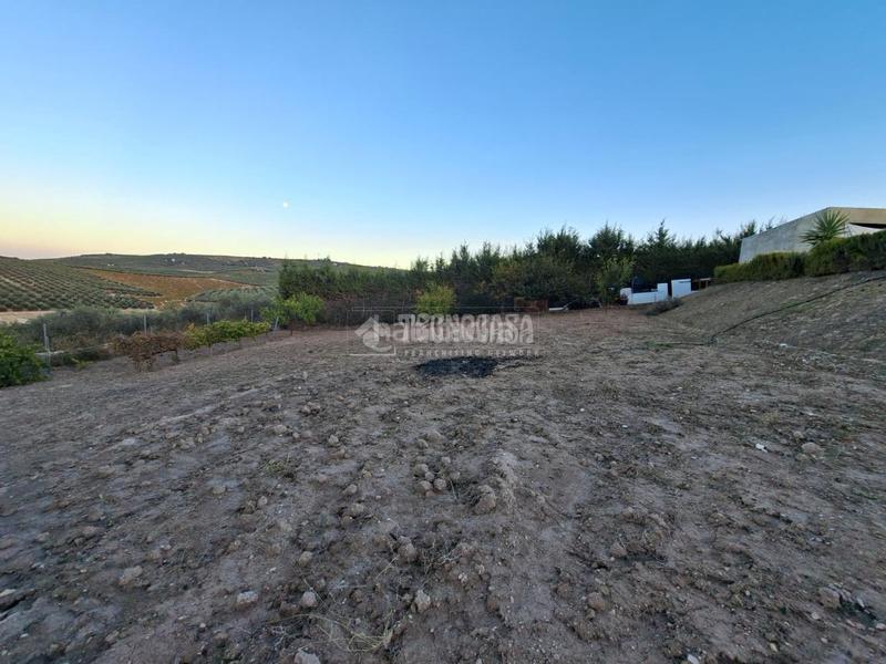 Foto d2383378-d1fe-43a5-8186-7b90d59f14e7. Finca rústica a Montilla