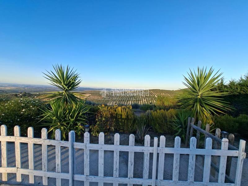 Foto d559ffcb-60f1-4193-989d-9f36a7c4476c. Finca rústica a Montilla