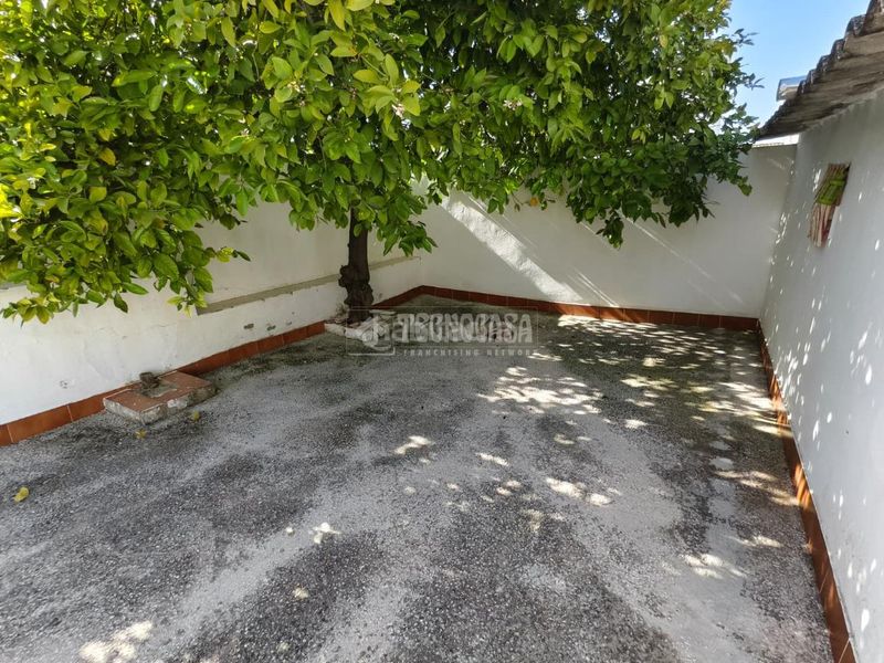 Foto 4f87f376-e8b6-45fd-b905-1bedcc2dbe41. Casa aparellada a Montilla