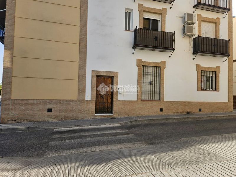 Foto 0972625c-b68b-4a5b-b8b1-88435fde9679. Pis a Montilla