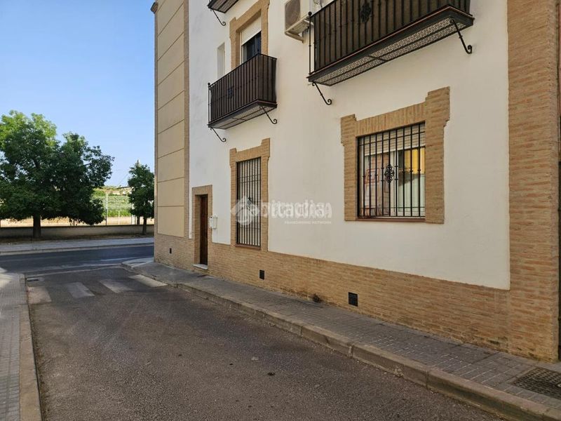Foto 62025e78-1438-46b2-aa22-1e0eac62e6d8. Pis a Montilla