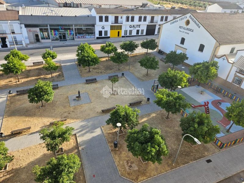 Foto c6a562e7-43d8-4905-b874-24583a6b001b. Pis a Montilla