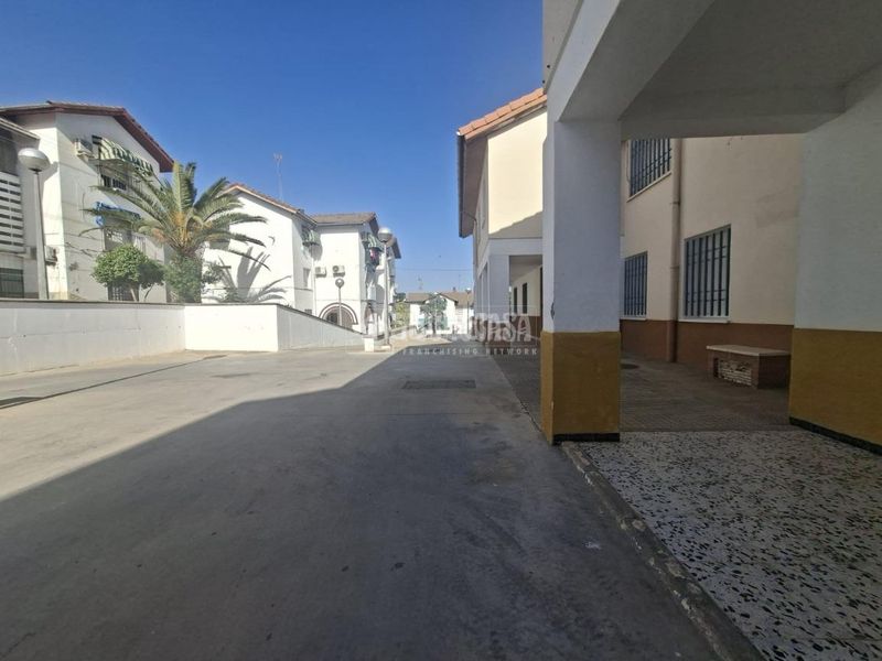 Foto 91bf36e4-25cb-43c7-bc66-ec4c18f5be15. Pis a Montilla