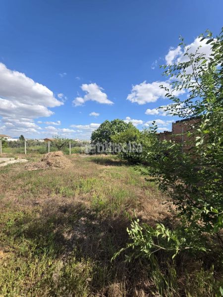 Foto a61bf729-0037-4dc0-9caf-0687b9bc45c4. Casa a Montilla
