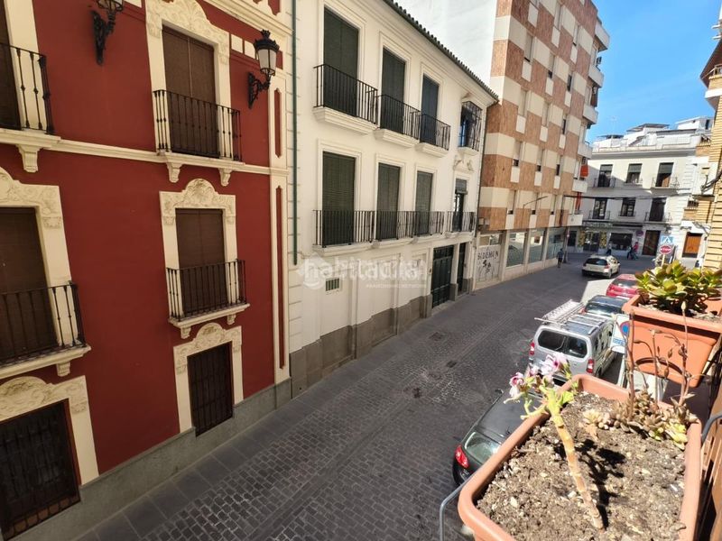Foto 39f6fc6b-40c2-4d34-8635-3061ae19dfd8. Pis a Montilla