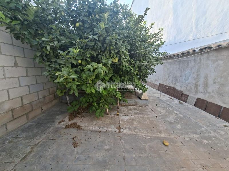 Foto 51440dc2-9ec9-487f-b67a-29fe9982fd75. Casa a Montilla