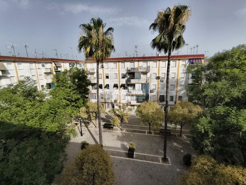 Foto f2169a82-fca9-4a1c-916d-0ba025969d5f. Pis a Montilla