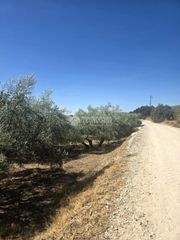 Casale in Montilla. Casa rural en venta en montilla