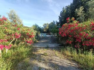 Masia a Montilla. Casa rural en venta en montilla