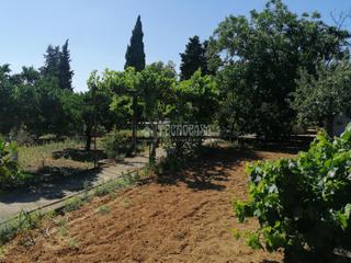 Masia a Montilla. Casa rural en venta en montilla