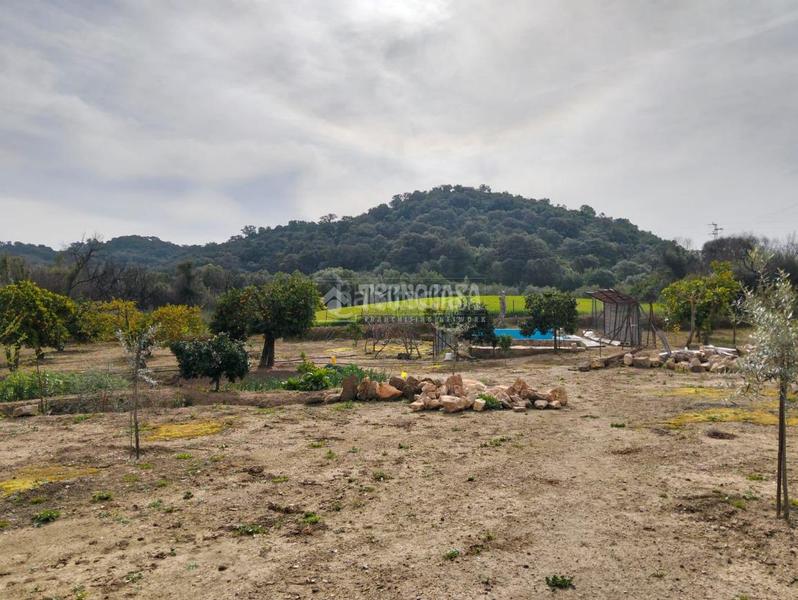 Foto 36735dd3-9504-465a-af11-2b687d1990df. Masía casa rural en venta en Puerto Serrano