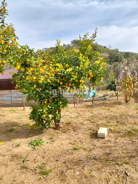 Foto 7a0aa6a2-fad3-4f88-bb81-284319b74e07. Masía casa rural en venta en Puerto Serrano