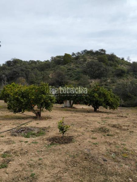 Foto 7f23e8b0-801c-4311-a4c3-eca232f11c91. Masía casa rural en venta en Puerto Serrano