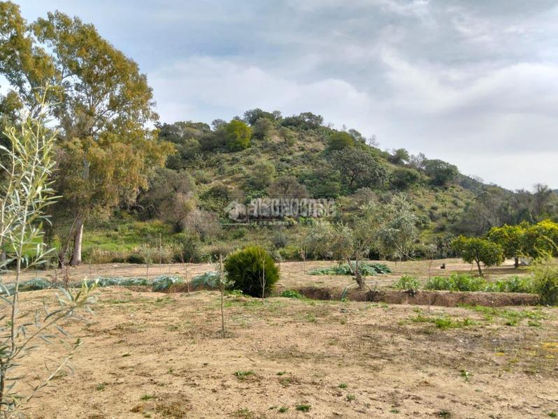 Foto b7d5420b-55a9-498b-b36c-5b9f72c0c275. Masía casa rural en venta en Puerto Serrano
