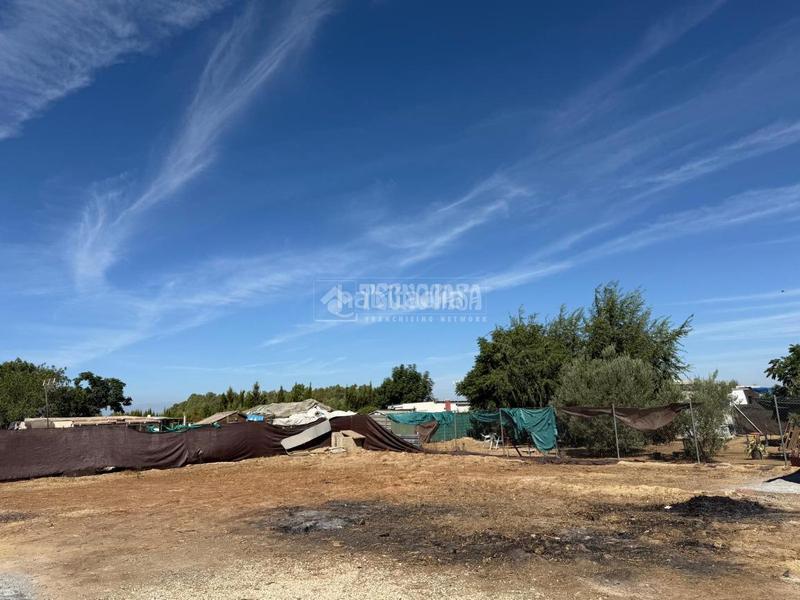 Foto 38746977-82eb-4fbb-8ea8-170cffa98ab5. Masía casa rural en venta en los molares en Molares (Los)