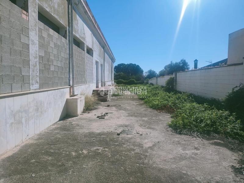 Foto 11a8a131-4255-4633-88c7-84ffe98ff93a. Finca rústica terrenos en venta en Entrenúcleos Dos Hermanas