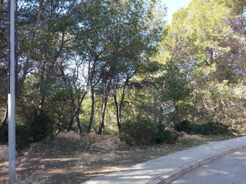 Foto e4947594-703f-455b-9ffb-96597f646938. Terreny residencial a Castellnou-Can Mir-Can Solà Rubí