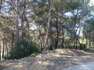Terreny residencial a Castellnou-Can Mir-Can Solà. Terreno