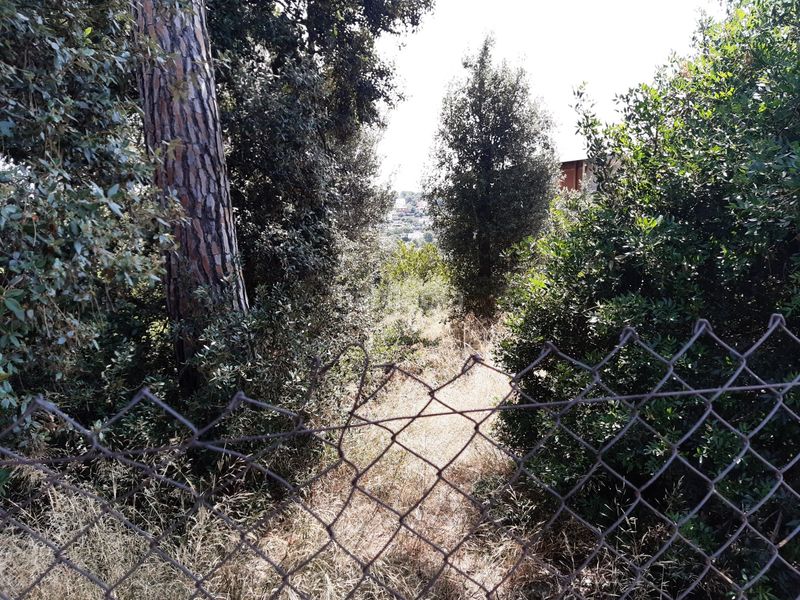 Foto 4423a4ed-62f6-40f8-9066-0c9d0d269700. Terreny residencial a La Serreta Rubí