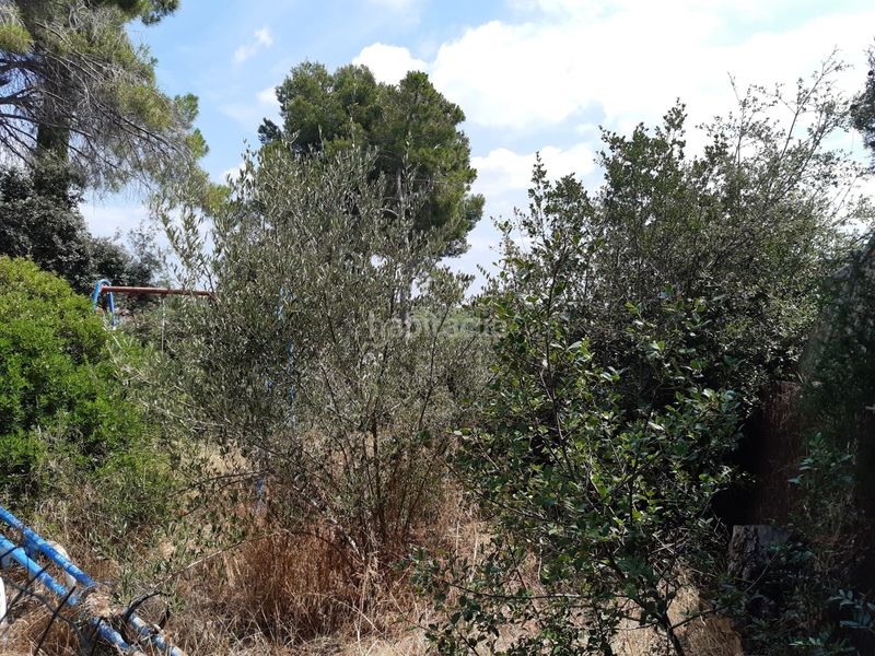 Foto e5f1f228-17bf-4157-8424-edddd3cf26a3. Terreny residencial a La Serreta Rubí