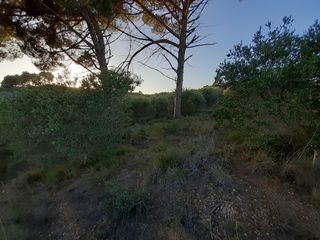 Residential Plot in Castellbisbal