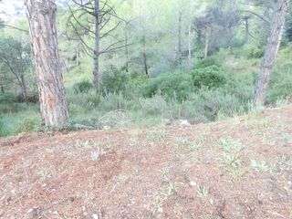 Wohngrundstück in Castellnou-Can Mir-Can Solà