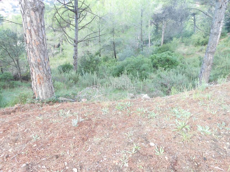 Foto 36e13a99-fdb0-4f1b-b5a8-d90d91369a9f. Terreno residencial terreno en Castellnou-Can Mir-Can Solà Rubí