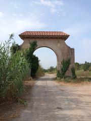 Finca rústica a La Serreta. Terreno