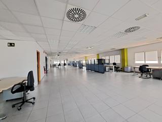 Lloguer Oficina a Roquetes-Can Magí. Oficinadespacho