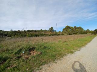 Affitto Fondo rustico in Zona Nord. Terreno