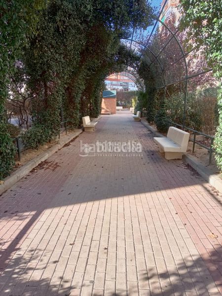 Foto cb8d77f8-5065-4ed0-af7d-1e0eed9e932f. Pis a Centro Fuenlabrada