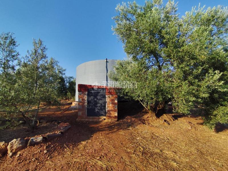 Foto 05278c27-6a18-4384-81cd-ab6764e8e397. Finca rústica a Santisteban del Puerto