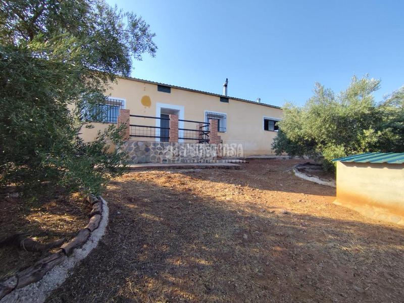 Foto ad2ce839-6109-4619-8c44-2449af9344bd. Finca rústica a Santisteban del Puerto