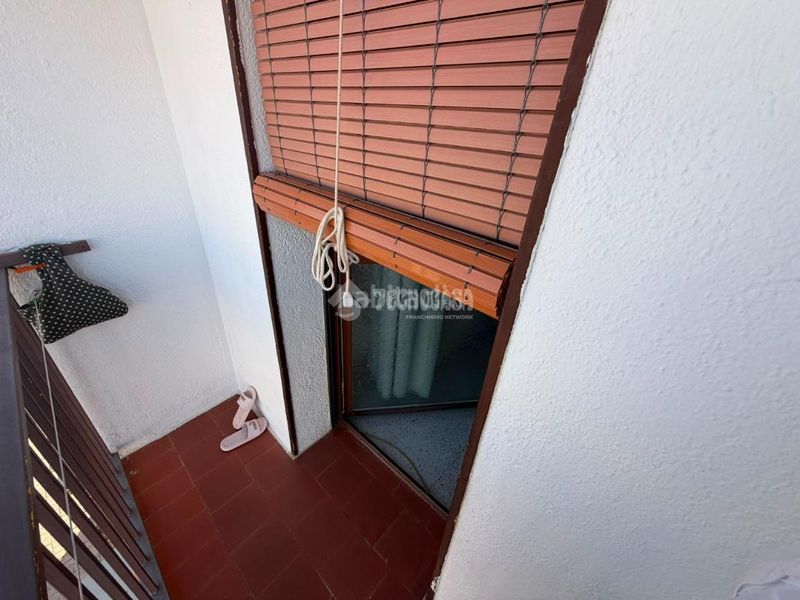 Foto 7a7394ef-2589-48ae-a061-581bbabb515d. Pis a Guarromán