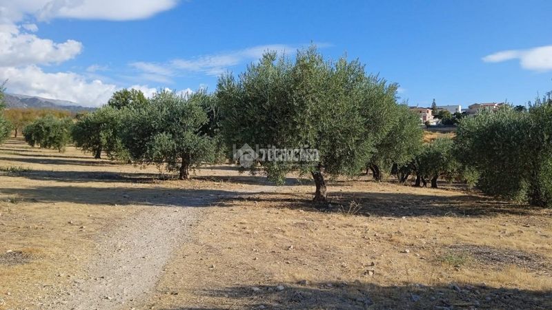 Foto 0dcb6085-12ac-4424-95fa-01ef9350ed2e. Finca rústica a Gójar
