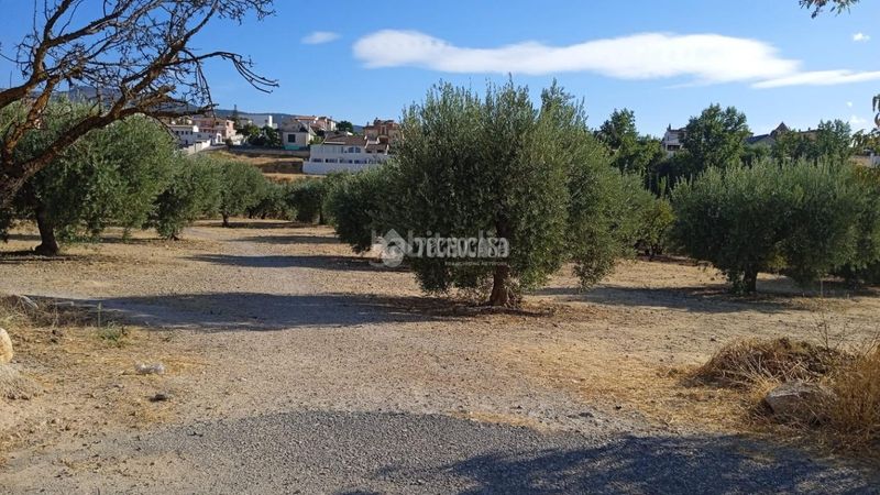 Foto 27fb966b-e8a4-496b-b345-0f0970772d69. Finca rústica a Gójar