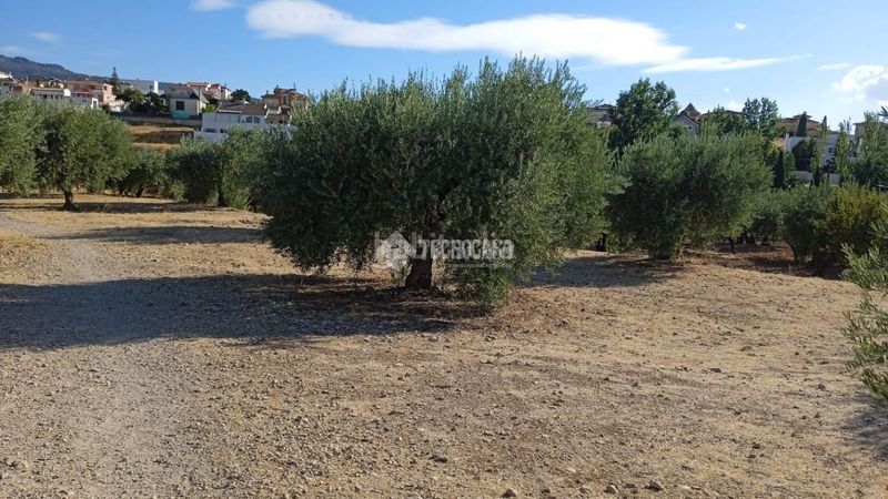 Foto ab73bce4-8fc3-448b-9daf-1af9639bdab8. Finca rústica a Gójar