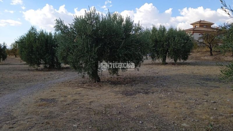 Foto bbb7c4d2-048d-4a99-87bd-4a16a013fc60. Finca rústica a Gójar