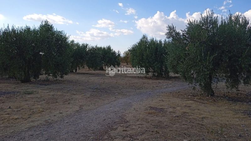Foto d40ed1d1-58cb-47f3-b252-747f4b058a48. Finca rústica a Gójar