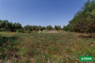 Finca rústica a Gójar. Terrenos en venta en gójar